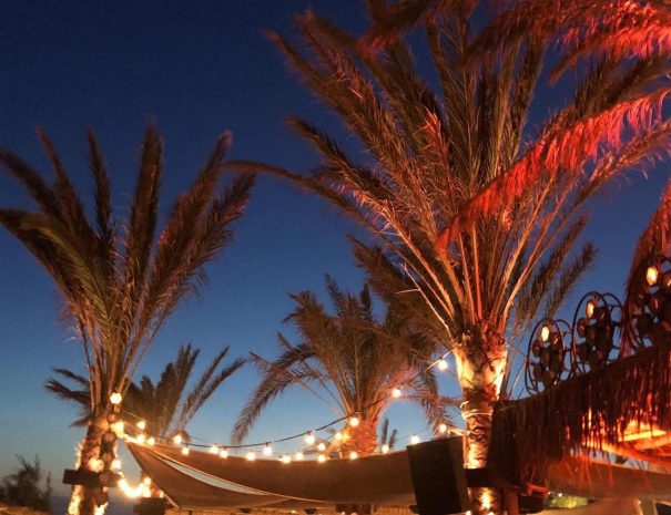 64734230_370685366986020_2928020028585289873_n